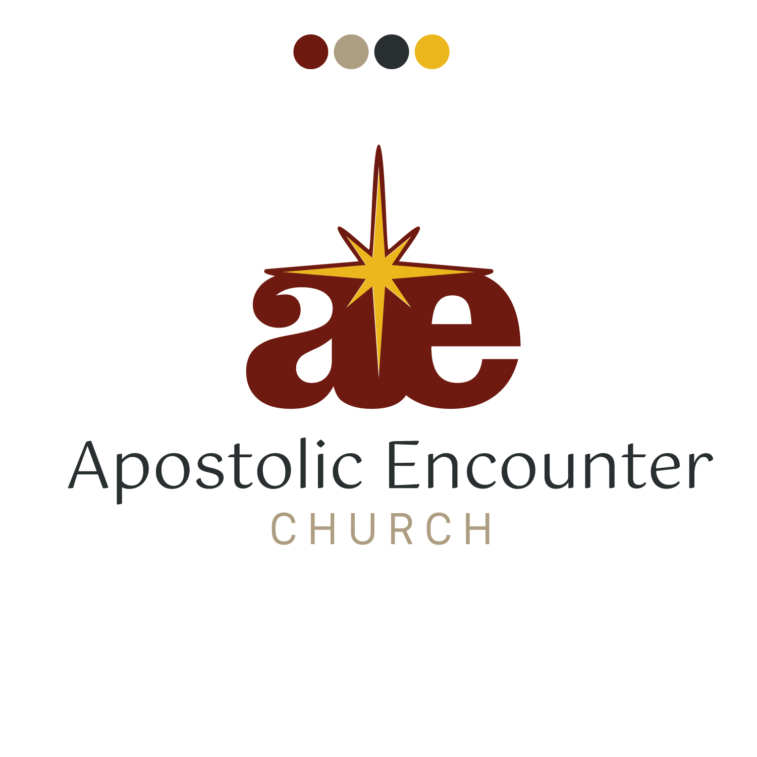 Logo - 01 - Apostolic Encounter-01