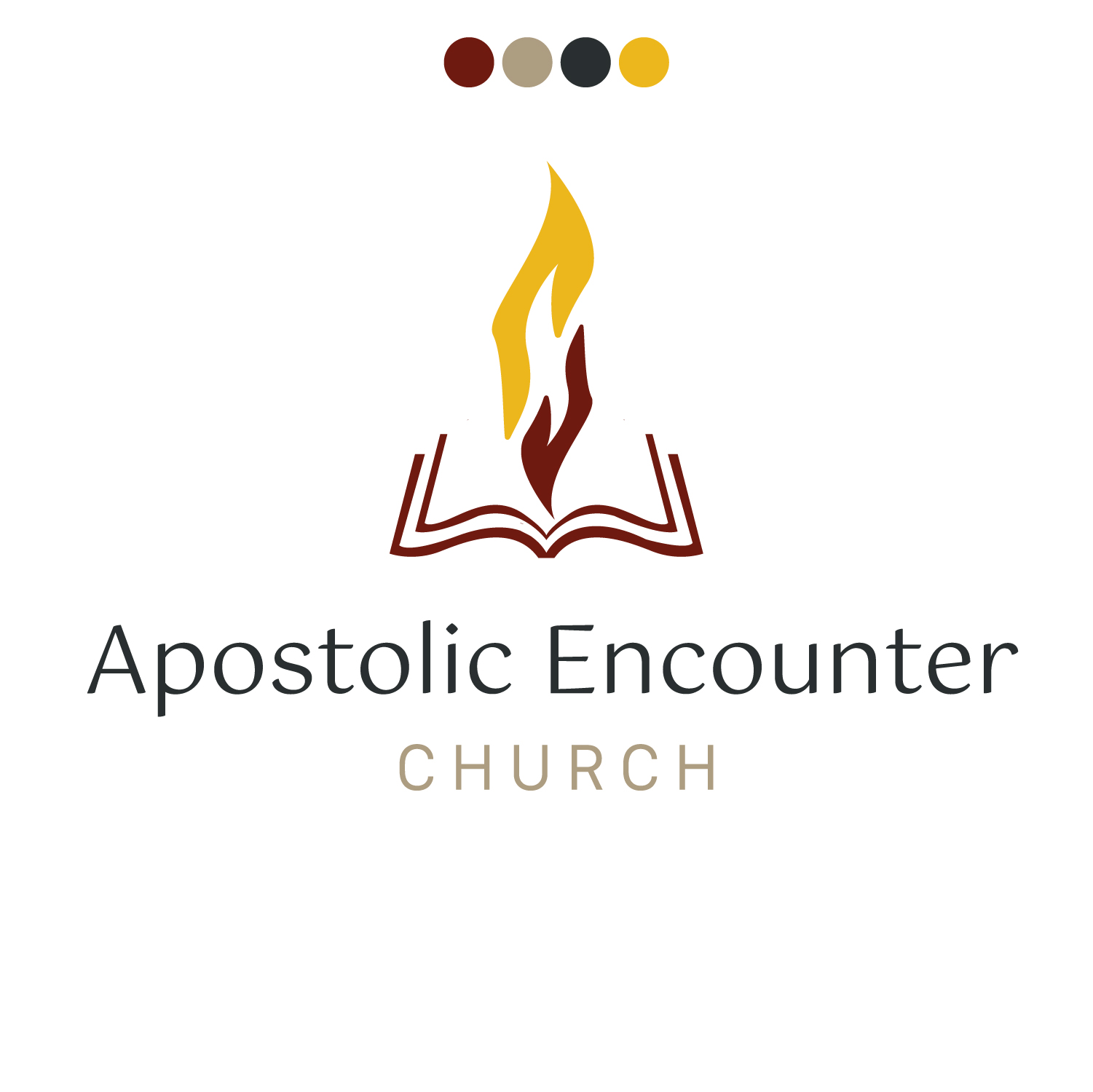 Logo - 01 - Apostolic Encounter-01